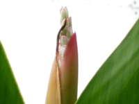 Imgp0584